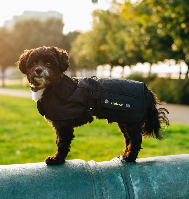 Fall Fashion - It's All About Vintage Inspired Looks: City Dogs to Country Gents 43 Fall Fashion - It's All About Vintage Inspired Looks: City Dogs to Country Gents