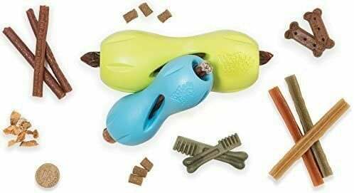 The Best Indestructible Dog Toys You Can Buy