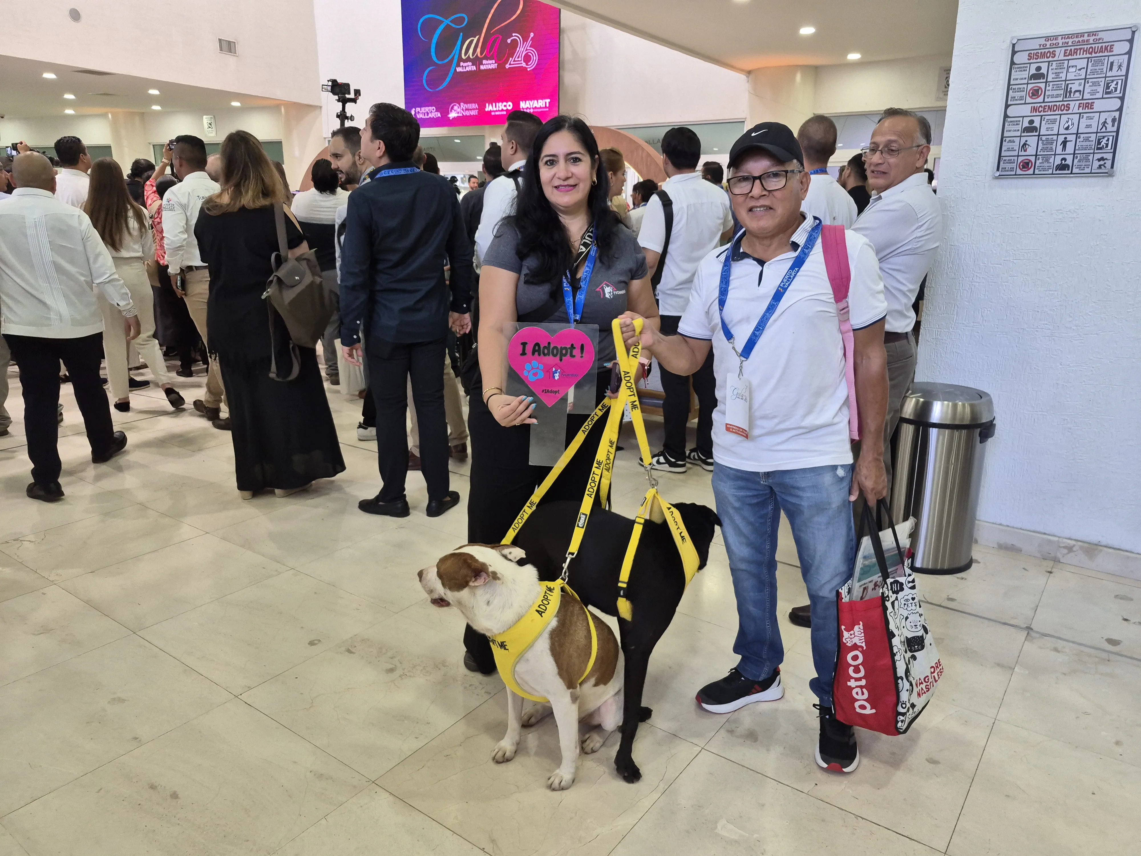 Puerto Vallarta Shelter Invites Tourists to Turn Holiday Visits into Lifesaving Dog Rescues