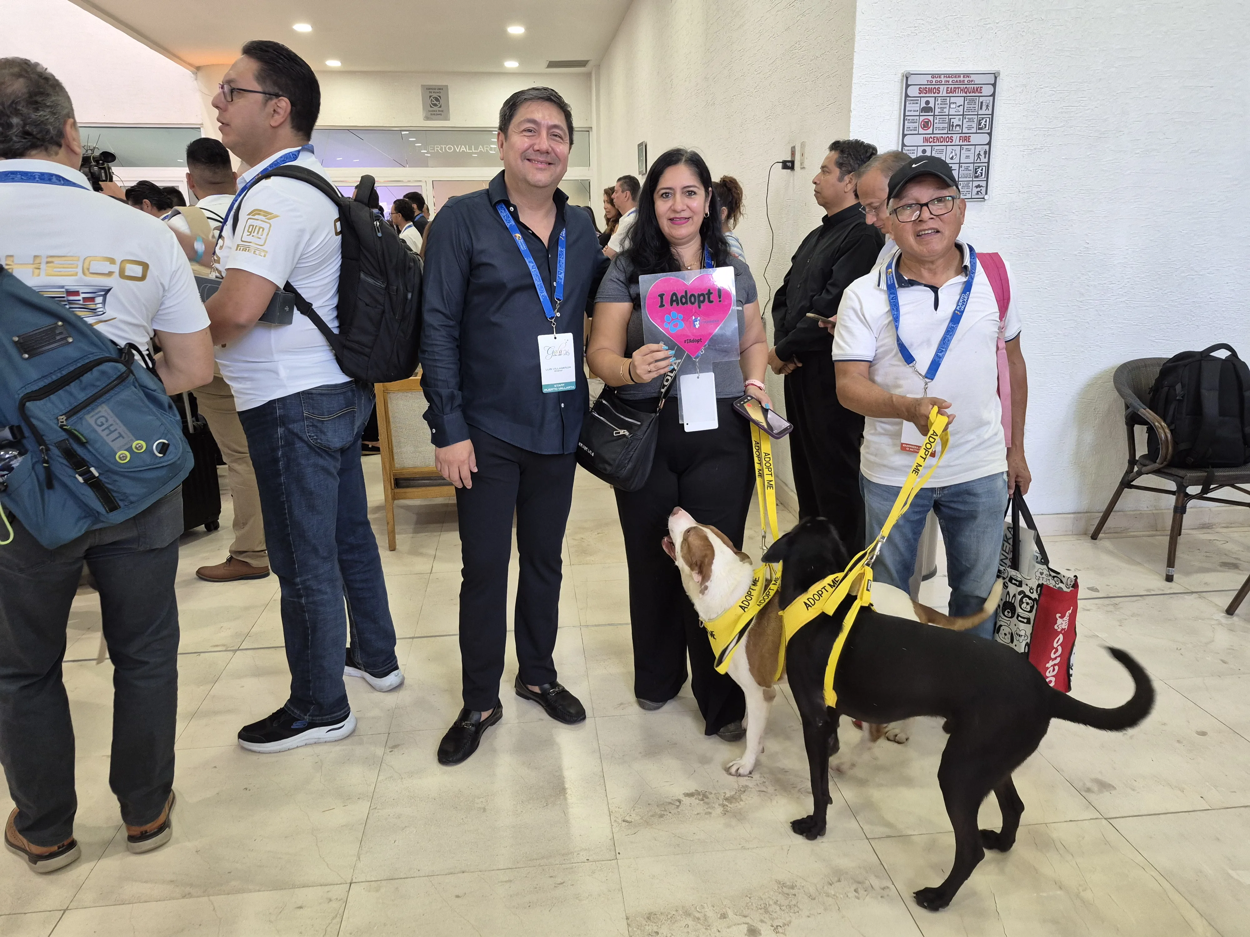 Puerto Vallarta Shelter Invites Tourists to Turn Holiday Visits into Lifesaving Dog Rescues