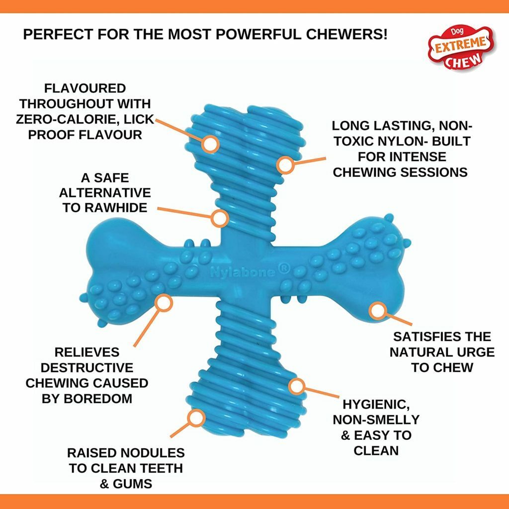 The Best Indestructible Dog Toys You Can Buy