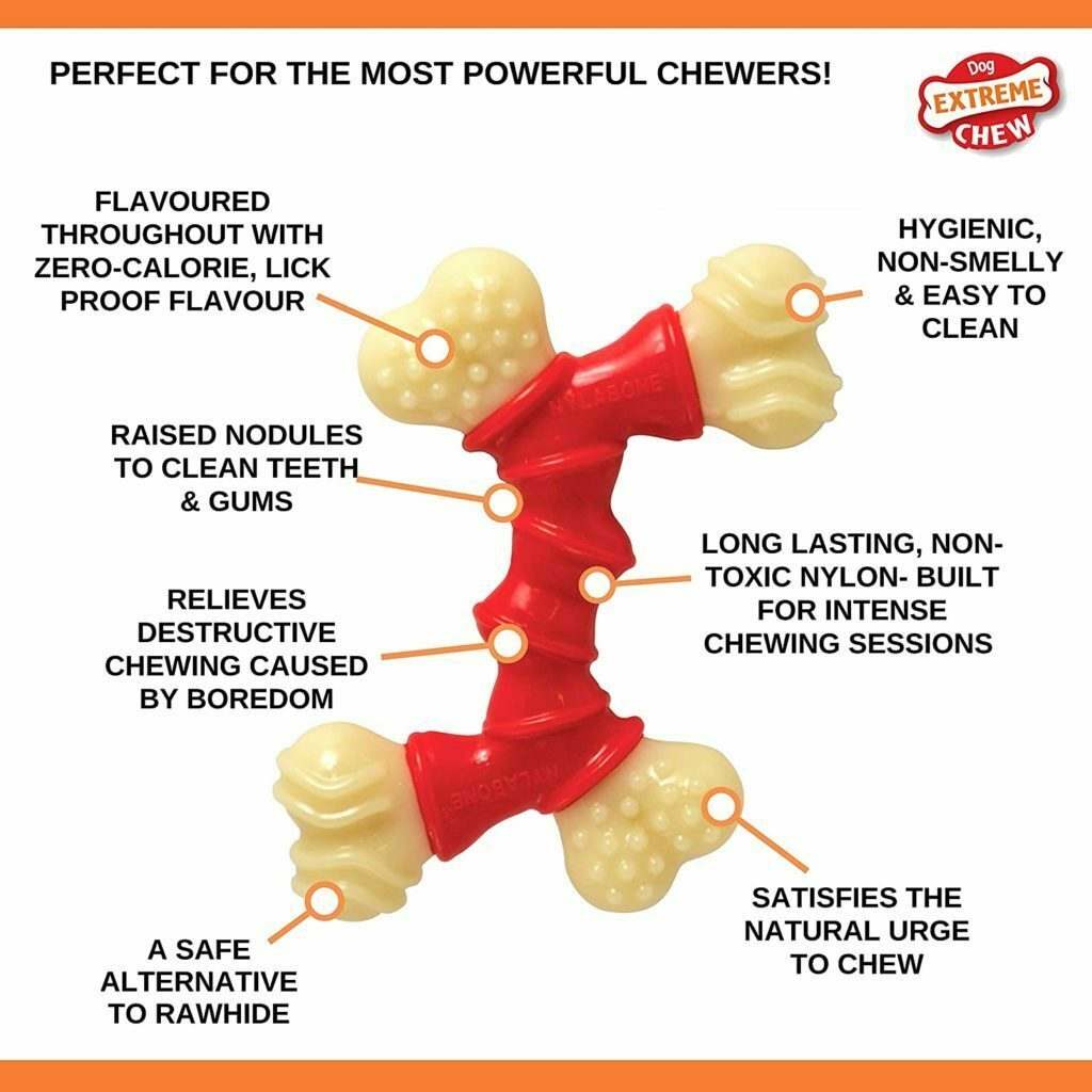 The Best Indestructible Dog Toys You Can Buy