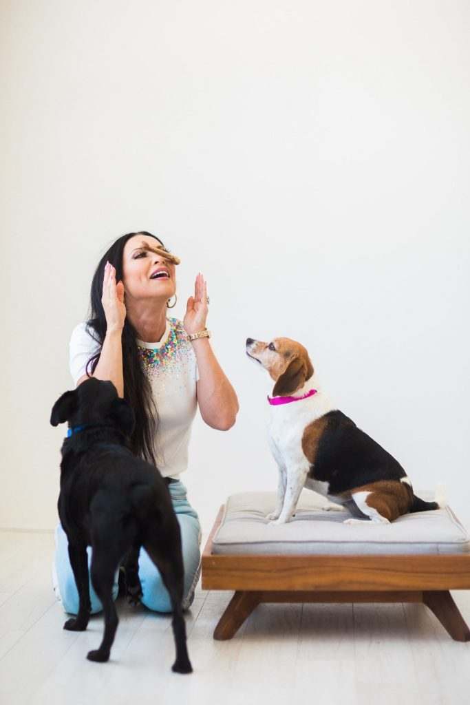 How To Choose A Dog Trainer That's Right For You & Your Dog 3 How To Choose A Dog Trainer That's Right For You & Your Dog
