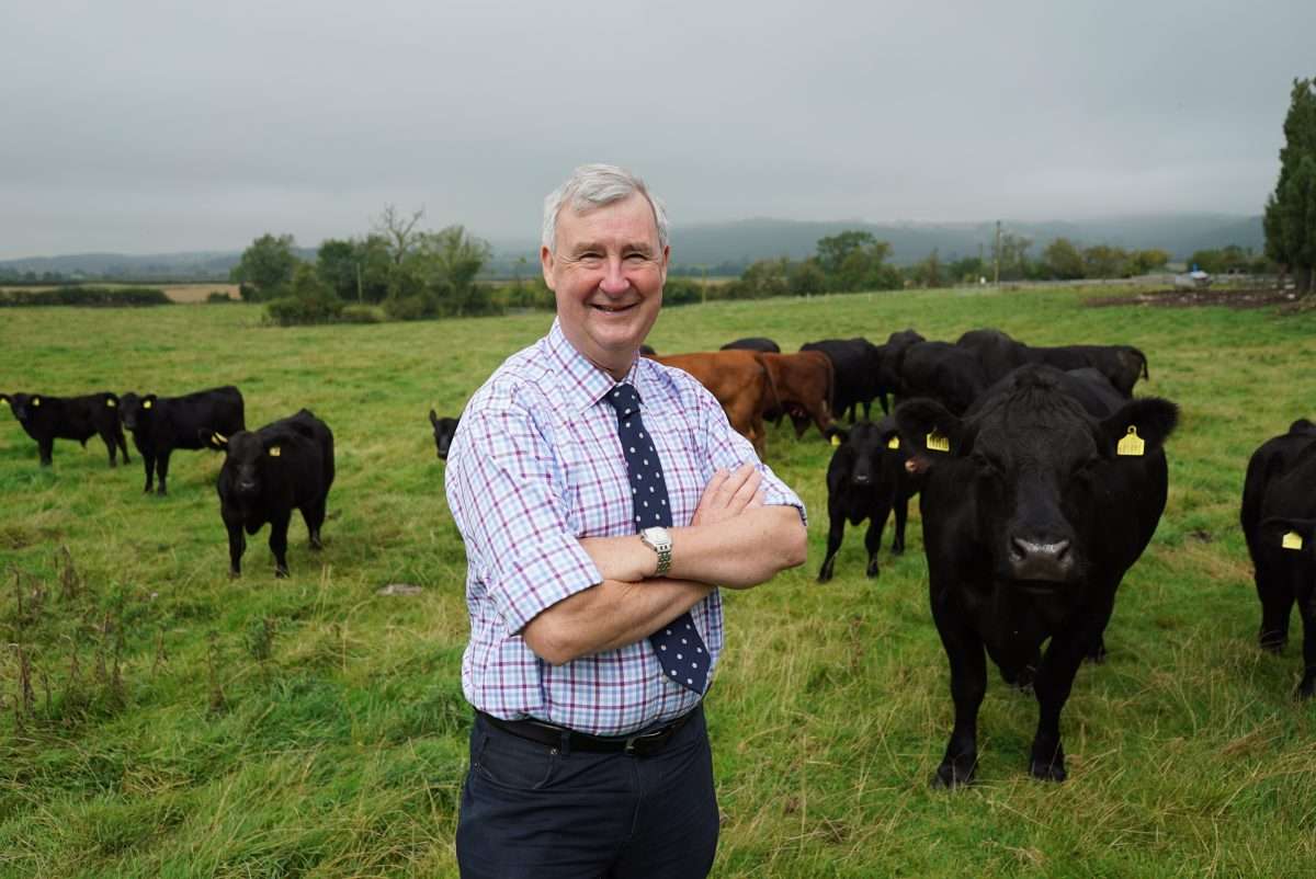 The Tales And Tails Of A Yorkshire Vet 5 The Tales And Tails Of A Yorkshire Vet