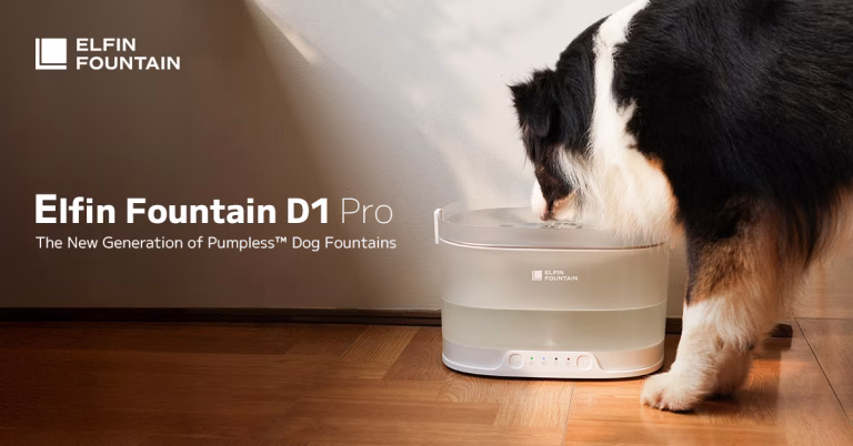 Review: Elfin Fountain D1 Pro – A Clean Break from the Traditional Water Bowl
