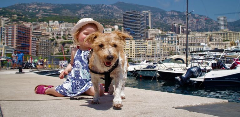 A Guide to Visiting the French Riviera With Your Dog 62 A Guide to Visiting the French Riviera With Your Dog