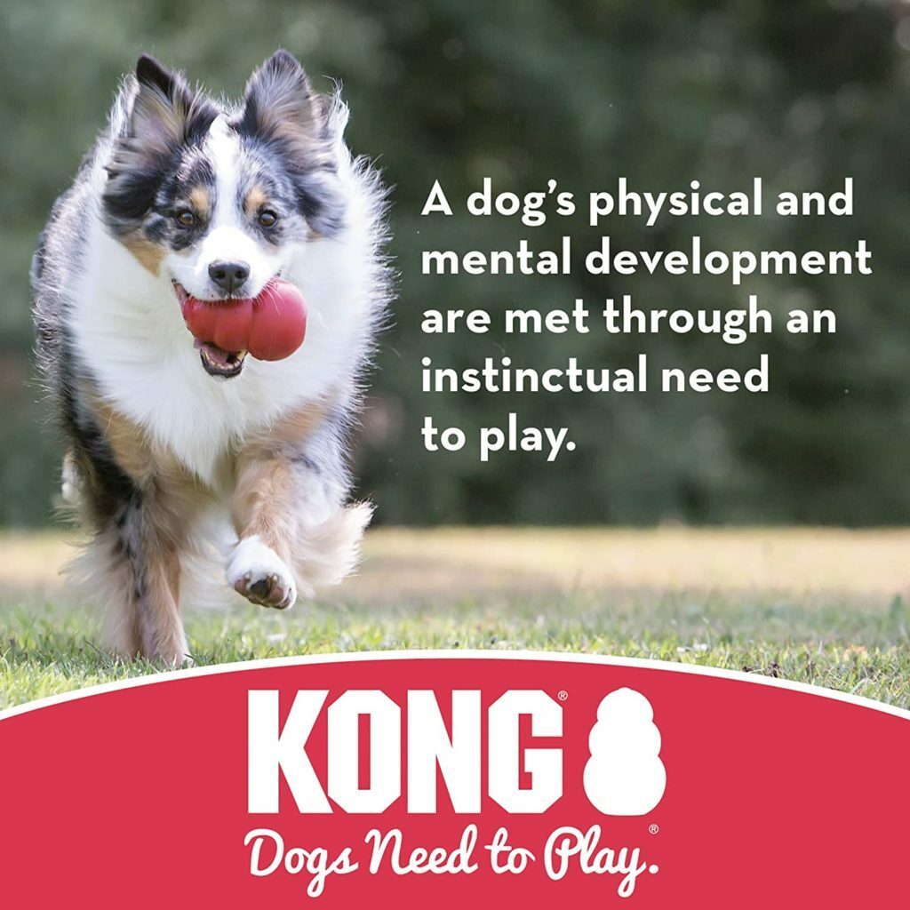 The Best Indestructible Dog Toys You Can Buy