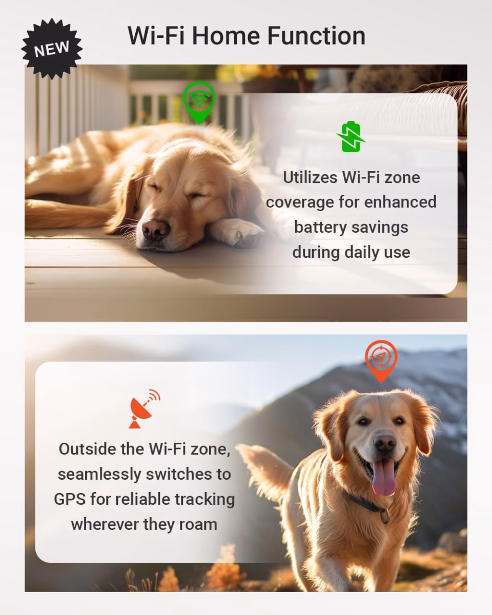 Track, Train, Protect: The Best GPS Tracker Advice You’ll Ever Read 4 Track, Train, Protect: The Best GPS Tracker Advice You’ll Ever Read