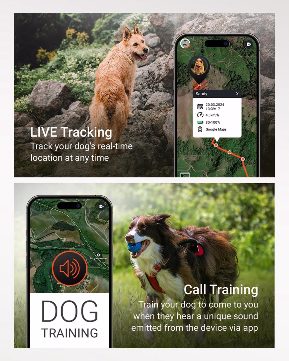 Track, Train, Protect: The Best GPS Tracker Advice You’ll Ever Read 5 Track, Train, Protect: The Best GPS Tracker Advice You’ll Ever Read