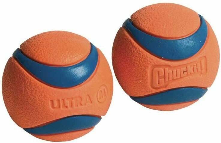 The Best Indestructible Dog Toys You Can Buy