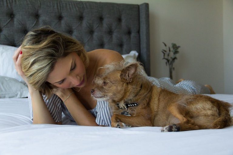 8 Times Dogs Proved We Don’t Deserve Them 9 8 Times Dogs Proved We Don’t Deserve Them