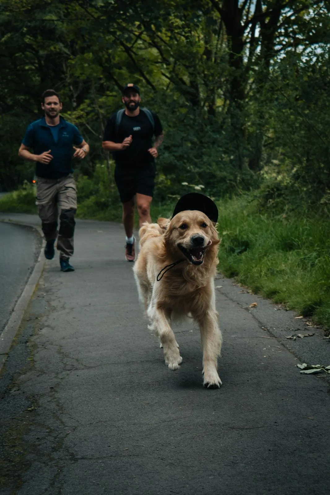 Ex-Marine to Run 700km in 16 Consecutive Marathons Urging the UK to “Adopt, Not Shop” 3 Ex-Marine to Run 700km in 16 Consecutive Marathons Urging the UK to “Adopt, Not Shop”