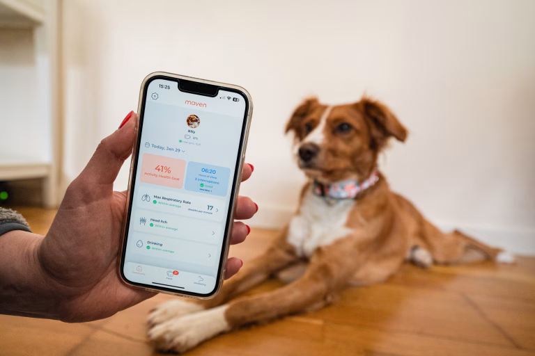 Why the Smartest Dog Parents Are Choosing Health Trackers Over GPS
