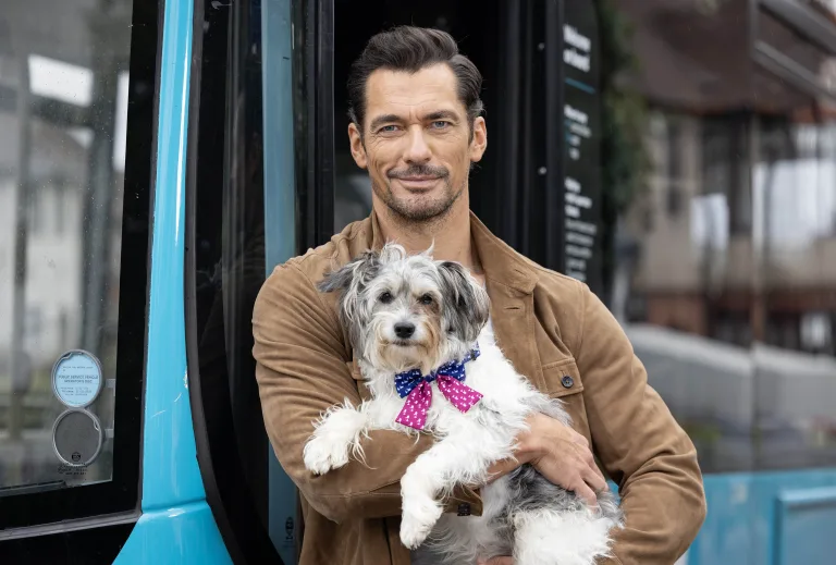 David Gandy Helps Create ‘Baby on Board’ Style Bow Tie for Senior Dogs 7 David Gandy Helps Create ‘Baby on Board’ Style Bow Tie for Senior Dogs
