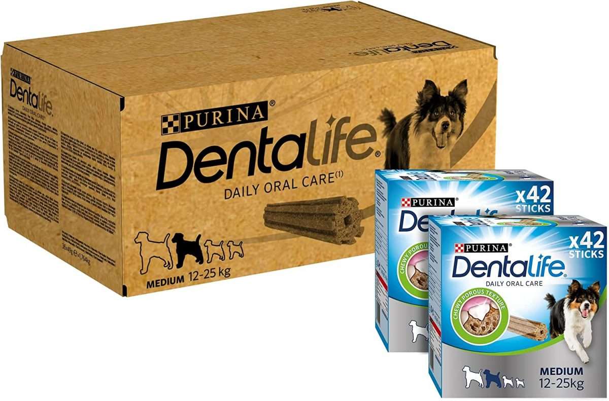 Best Dog Treats Of The Year 2023 6 Best Dog Treats Of The Year 2023