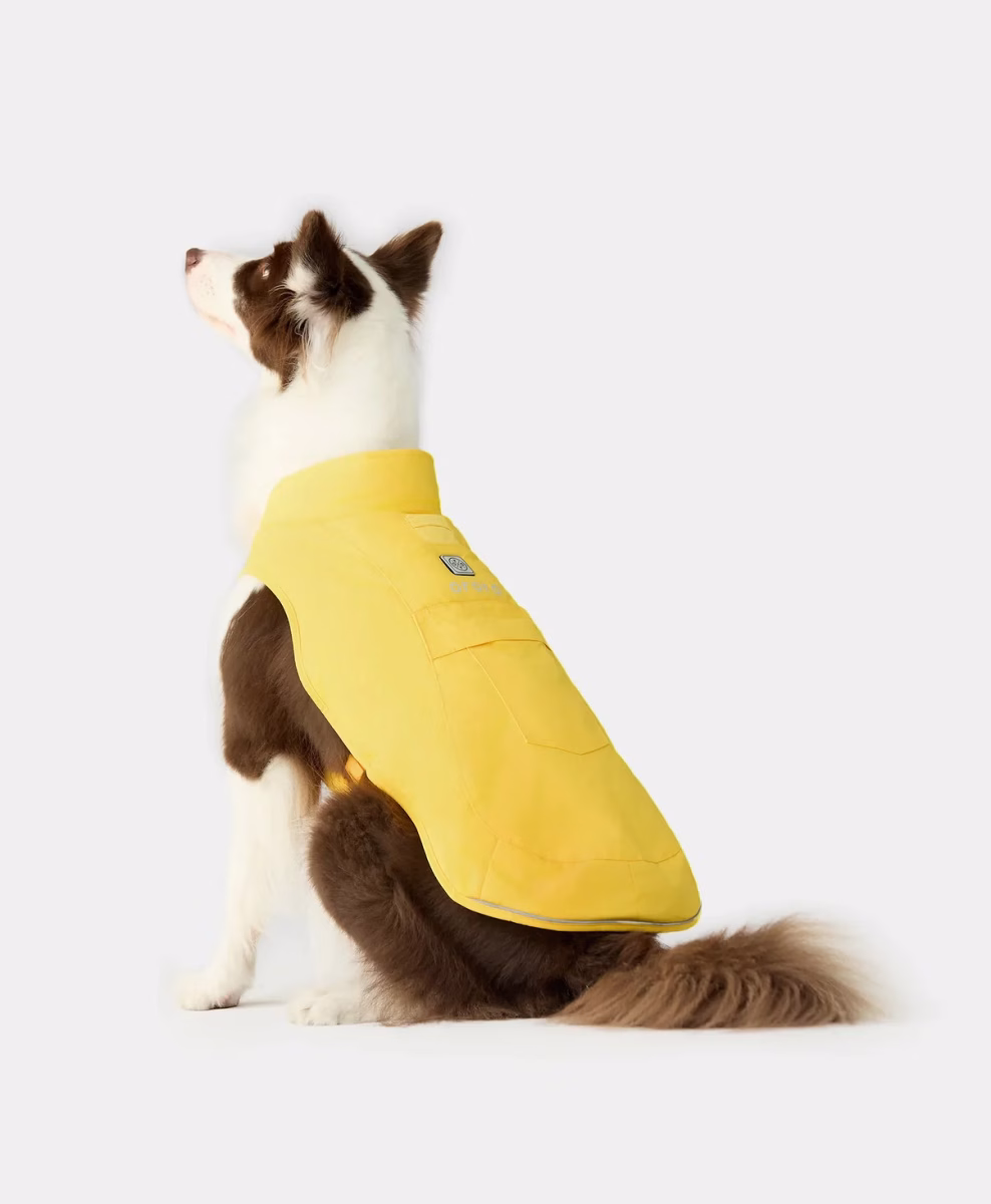 Heated Apparel for Dogs and Dog Owners: Stay Warm During Winter Walks 4 Heated Apparel for Dogs and Dog Owners: Stay Warm During Winter Walks