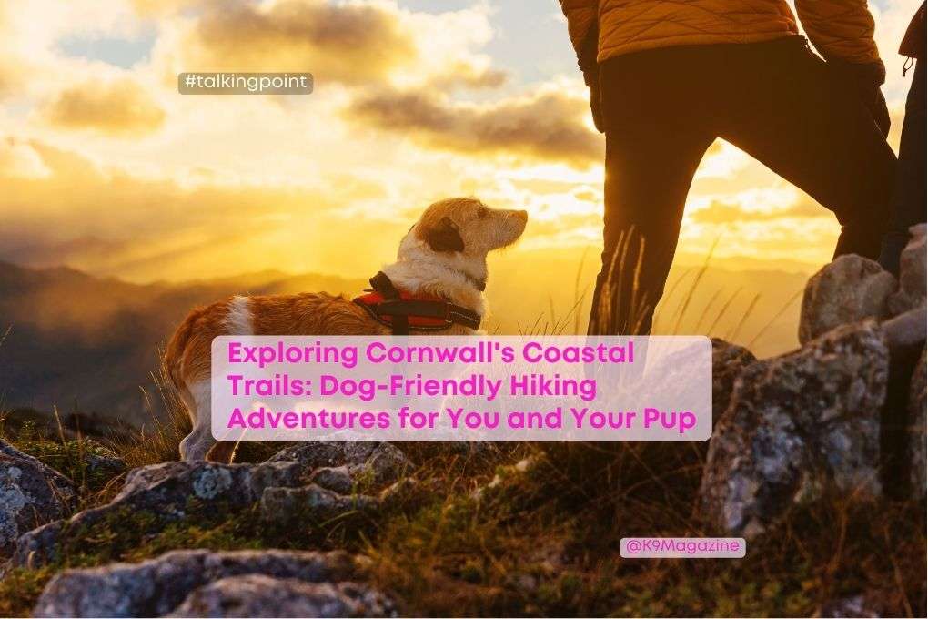 Exploring Cornwall's Coastal Trails: Dog-Friendly Hiking Adventures for You and Your Pup 1 Exploring Cornwall's Coastal Trails: Dog-Friendly Hiking Adventures for You and Your Pup