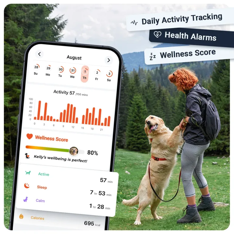 Track, Train, Protect: The Best GPS Tracker Advice You’ll Ever Read 1 Track, Train, Protect: The Best GPS Tracker Advice You’ll Ever Read