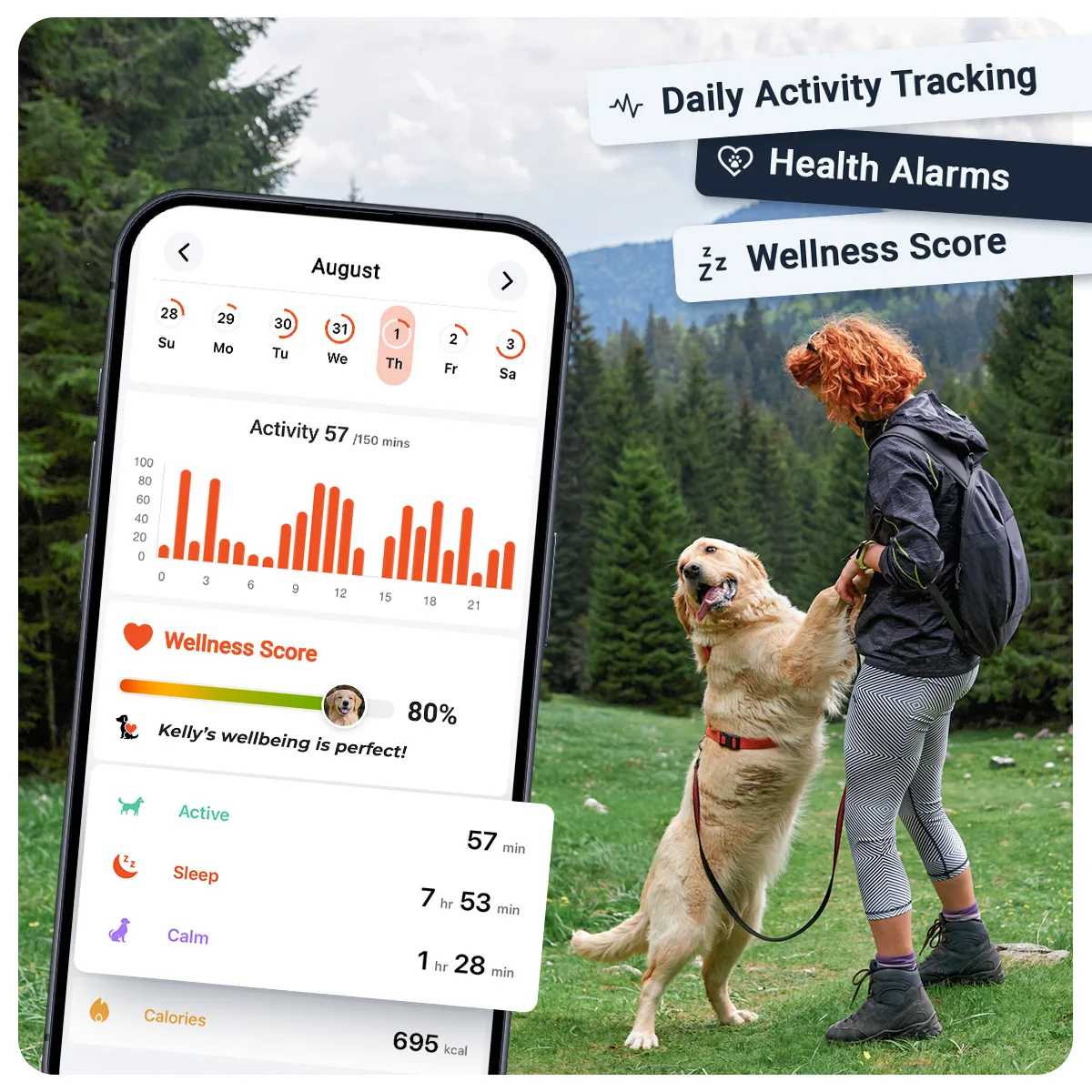 Track, Train, Protect: The Best GPS Tracker Advice You’ll Ever Read 1 Track, Train, Protect: The Best GPS Tracker Advice You’ll Ever Read
