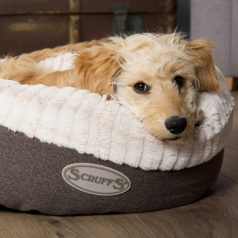 4 Products to Help You Smash Your New Year’s Resolutions