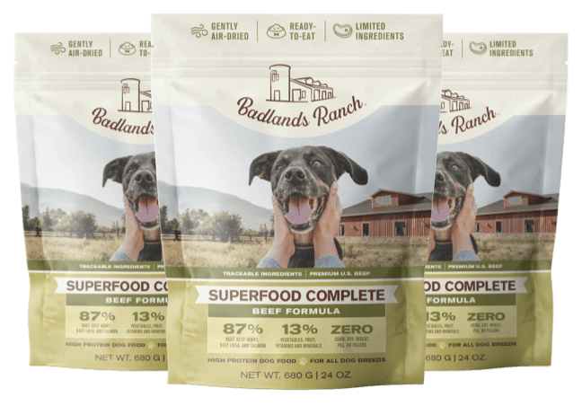 Best Superfoods For Dogs 5 Best Superfoods For Dogs