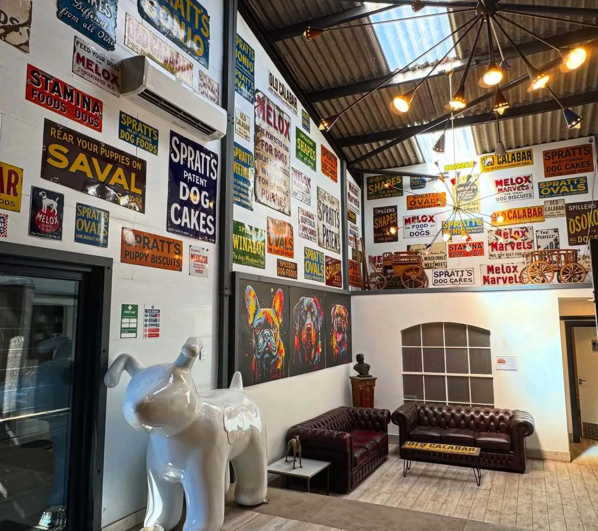 Luxury Dog Hotels London: 5 Premium Stays for Pampered Pooches 2 Luxury Dog Hotels London: 5 Premium Stays for Pampered Pooches