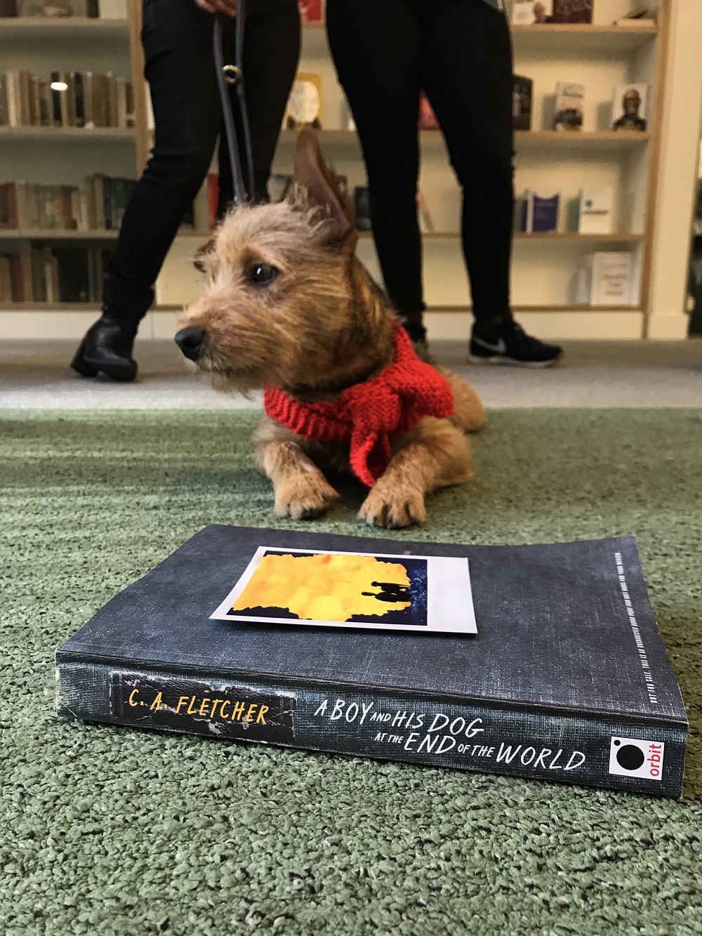 Book Club: ‘Everyone Is Guaranteed at Least Two Great Dogs in a Lifetime’ 36 Book Club: ‘Everyone Is Guaranteed at Least Two Great Dogs in a Lifetime’