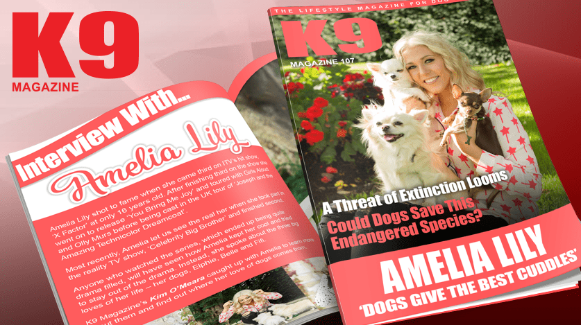 K9 Magazine Issue 107 1 K9 Magazine Issue 107