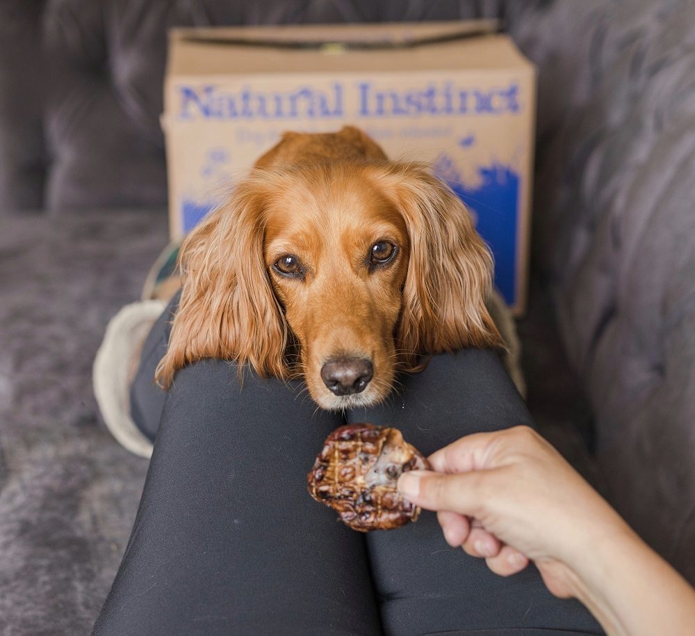 Best Dog Treats Of The Year 2023 14 Best Dog Treats Of The Year 2023
