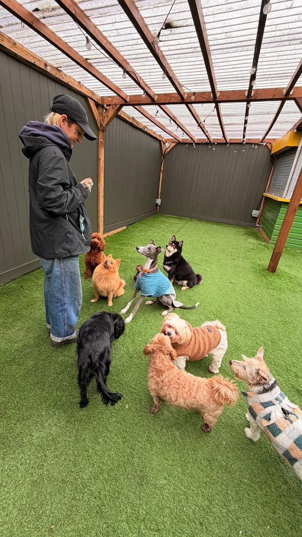 Luxury Dog Hotels London: 5 Premium Stays for Pampered Pooches 6 Luxury Dog Hotels London: 5 Premium Stays for Pampered Pooches