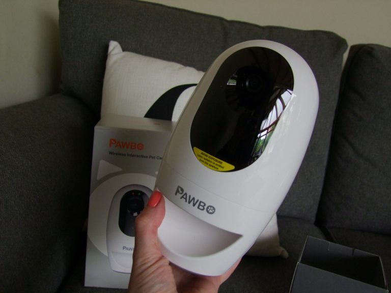 The Pawbo+ Has Arrived in the UK, but What Makes It Stand out From the Pet Tech Crowd?