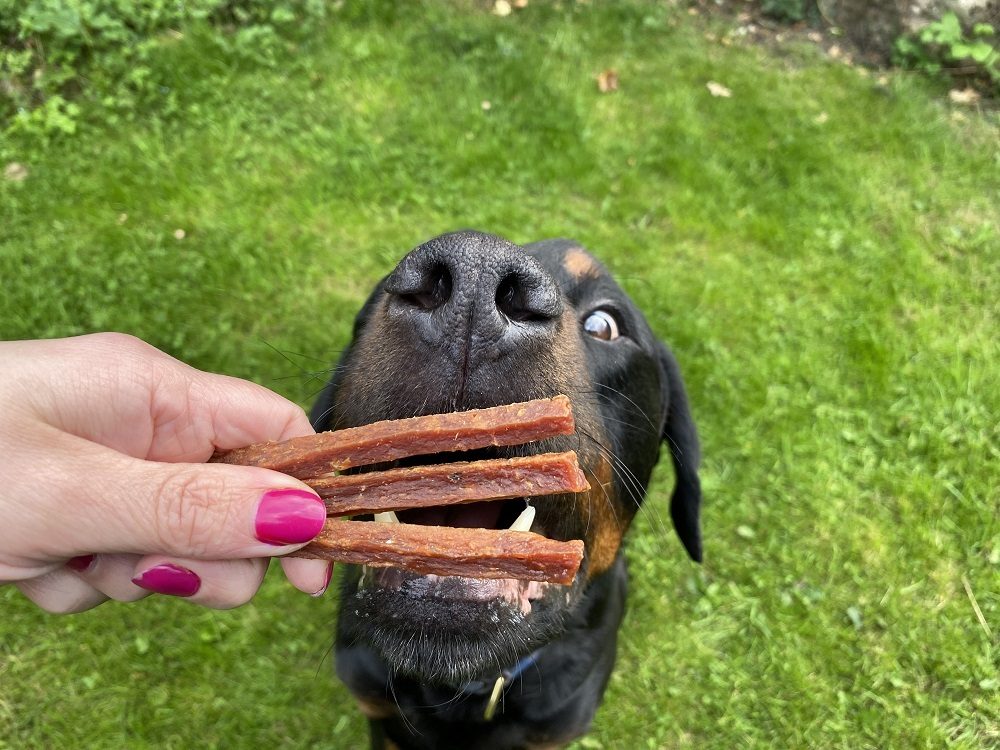 Best Dog Treats Of The Year 2023 11 Best Dog Treats Of The Year 2023