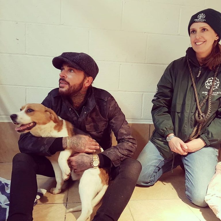 These Dogs Were Saved from a South Korean Farm, Can You Help Them Find New Homes? 96 These Dogs Were Saved from a South Korean Farm, Can You Help Them Find New Homes?