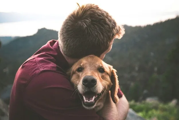 Top 12 Pet Sitters in Sarasota, Bradenton & Venice