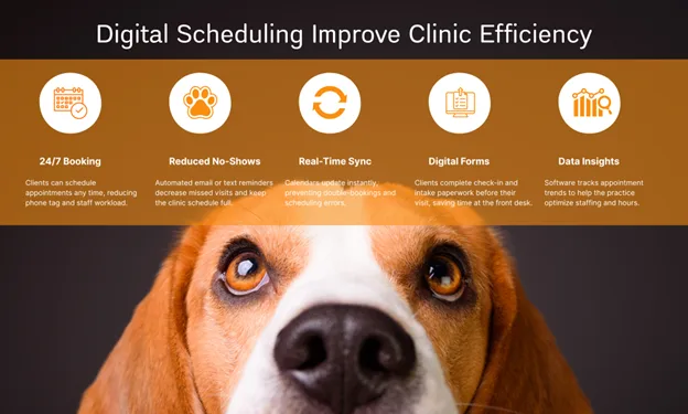 How Digital Vet Apps and Online Scheduling Improve Pet Health Outcomes