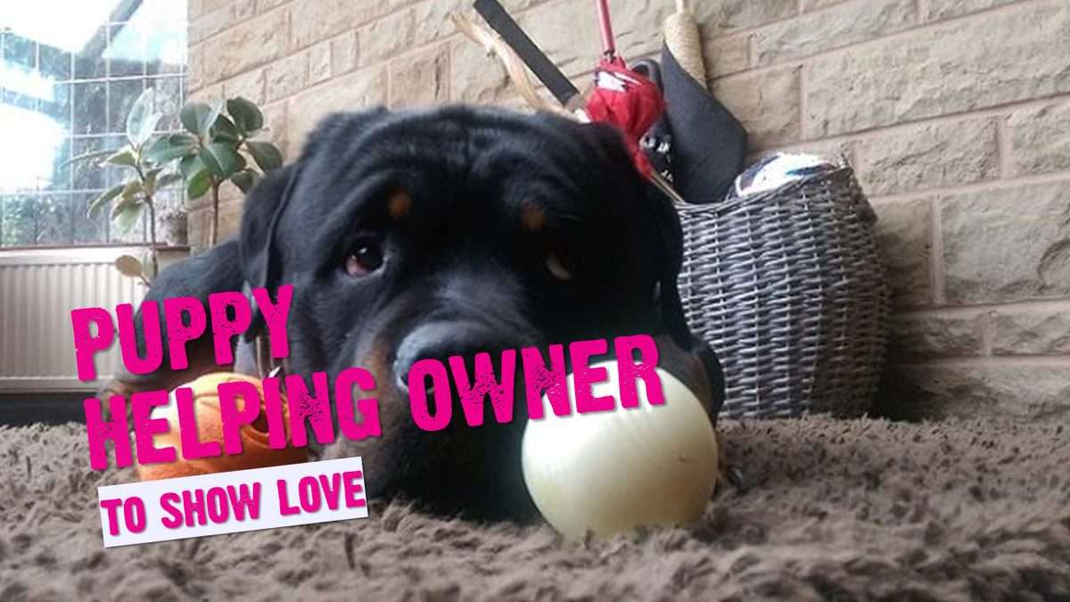 Dog Owner With Autism Credits Puppy With Helping Her To Show Love 1 Dog Owner With Autism Credits Puppy With Helping Her To Show Love