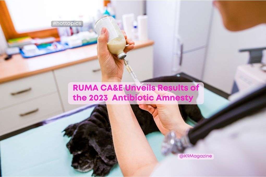 RUMA CA&E Unveils Results of the 2023 Antibiotic Amnesty