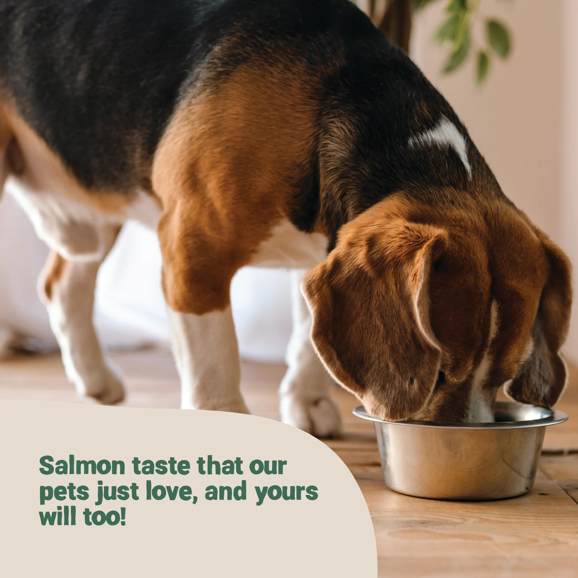 Liquid Gold For Dogs: Uncovering The Benefits Of Scottish Salmon Oil 8 Liquid Gold For Dogs: Uncovering The Benefits Of Scottish Salmon Oil