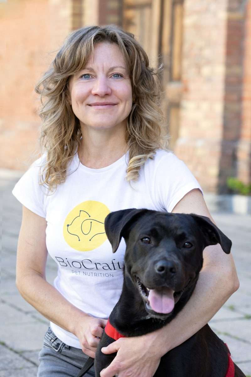 We Need To Talk About Antibiotic Resistance In Pets 5 We Need To Talk About Antibiotic Resistance In Pets