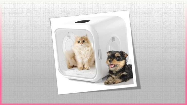 The Innovation of DryBo Plus Smart Pet Drier in Pet Grooming 25 The Innovation of DryBo Plus Smart Pet Drier in Pet Grooming