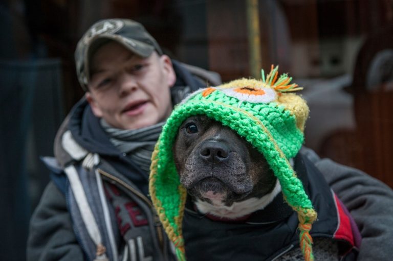‘I Wanted to Help Homeless People & Their Pets, so This Is What I Did’ 70 ‘I Wanted to Help Homeless People & Their Pets, so This Is What I Did’