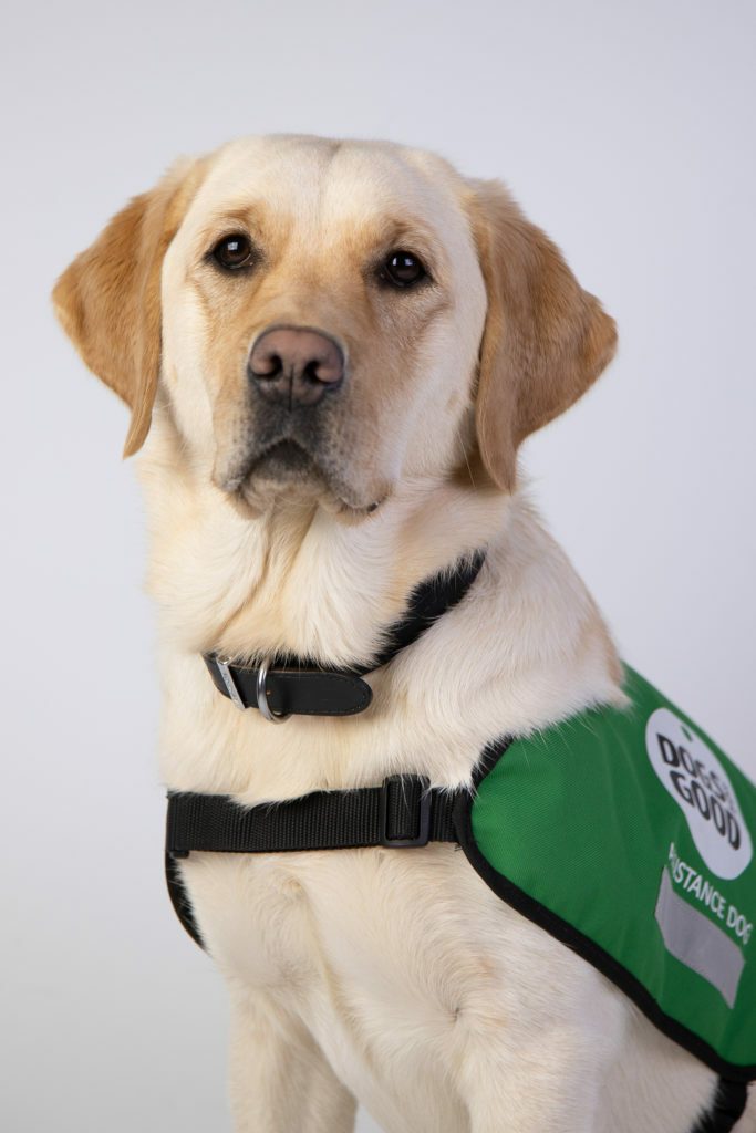 Can A Dog Totally Change Your Life? Meet Ula & See For Yourself