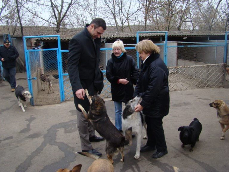 Former World Heavyweight Champion Wants to KO Dog Fighting