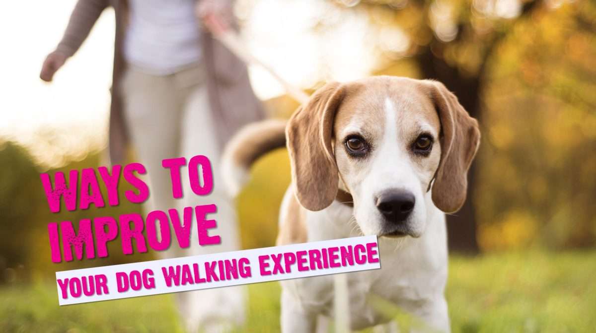 Dog Walking Tips: Ways To Improve Your Dog Walking Experience 1 Dog Walking Tips: Ways To Improve Your Dog Walking Experience