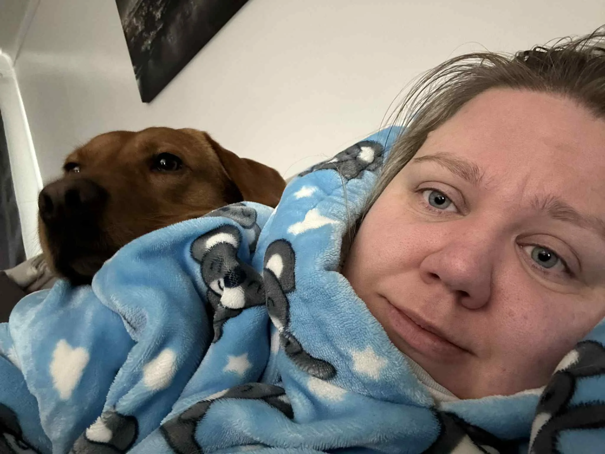 Paws & Purpose: Why Neurodivergence Can Be a Superpower in the Dog World 5 Paws & Purpose: Why Neurodivergence Can Be a Superpower in the Dog World