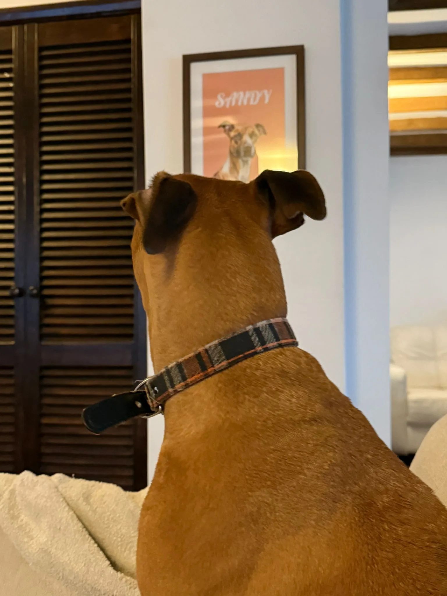 CANVASDISCOUNT Review: Turning My Dog’s Photo Into a Framed Pet Portrait