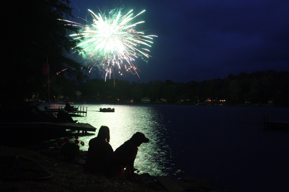 6 Proven Ways To Help Your Dog Cope With Fireworks 2 6 Proven Ways To Help Your Dog Cope With Fireworks