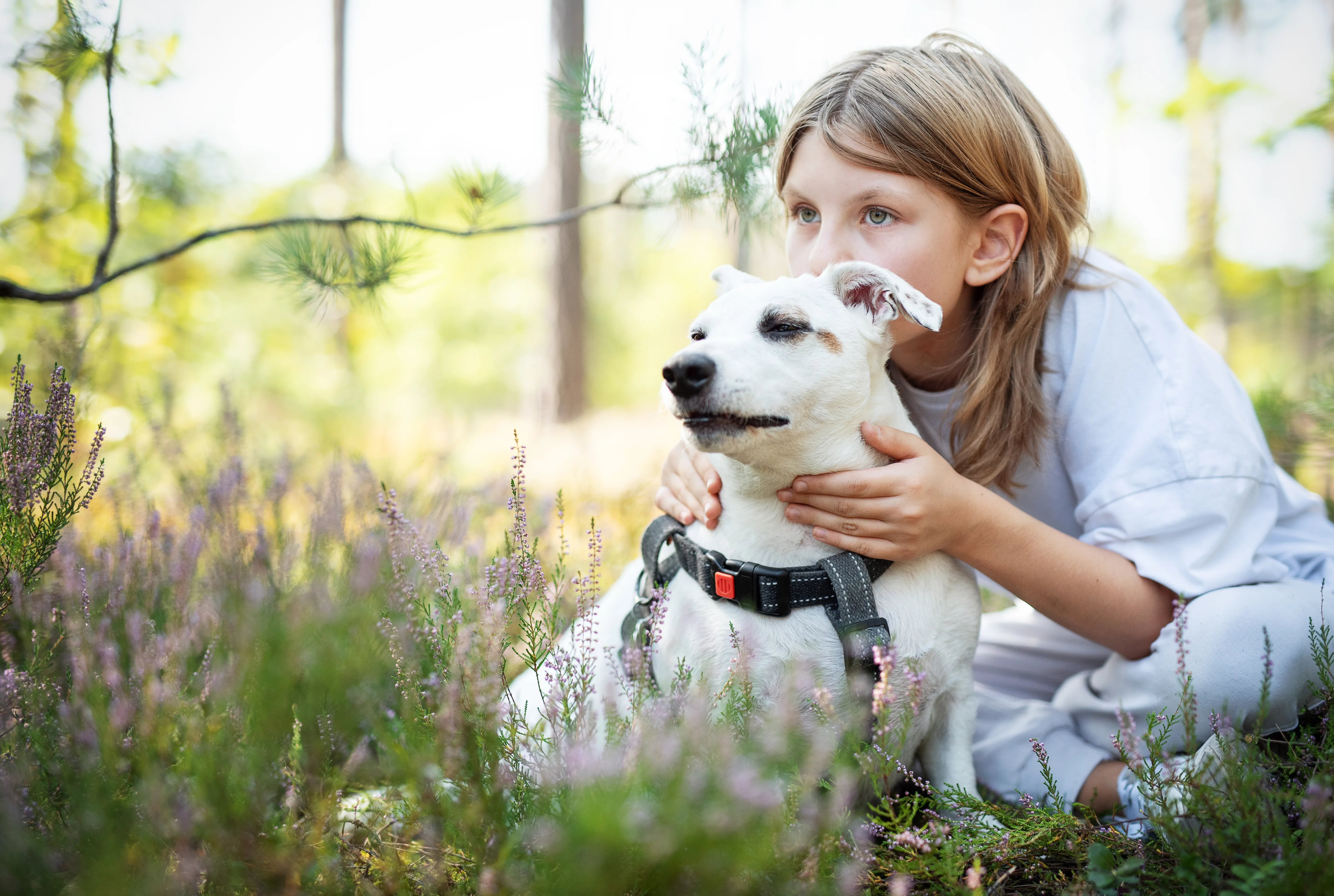 Guide to ESA Pets: Understanding Which Animals Qualify for Legitimate Emotional Support Animal Letters