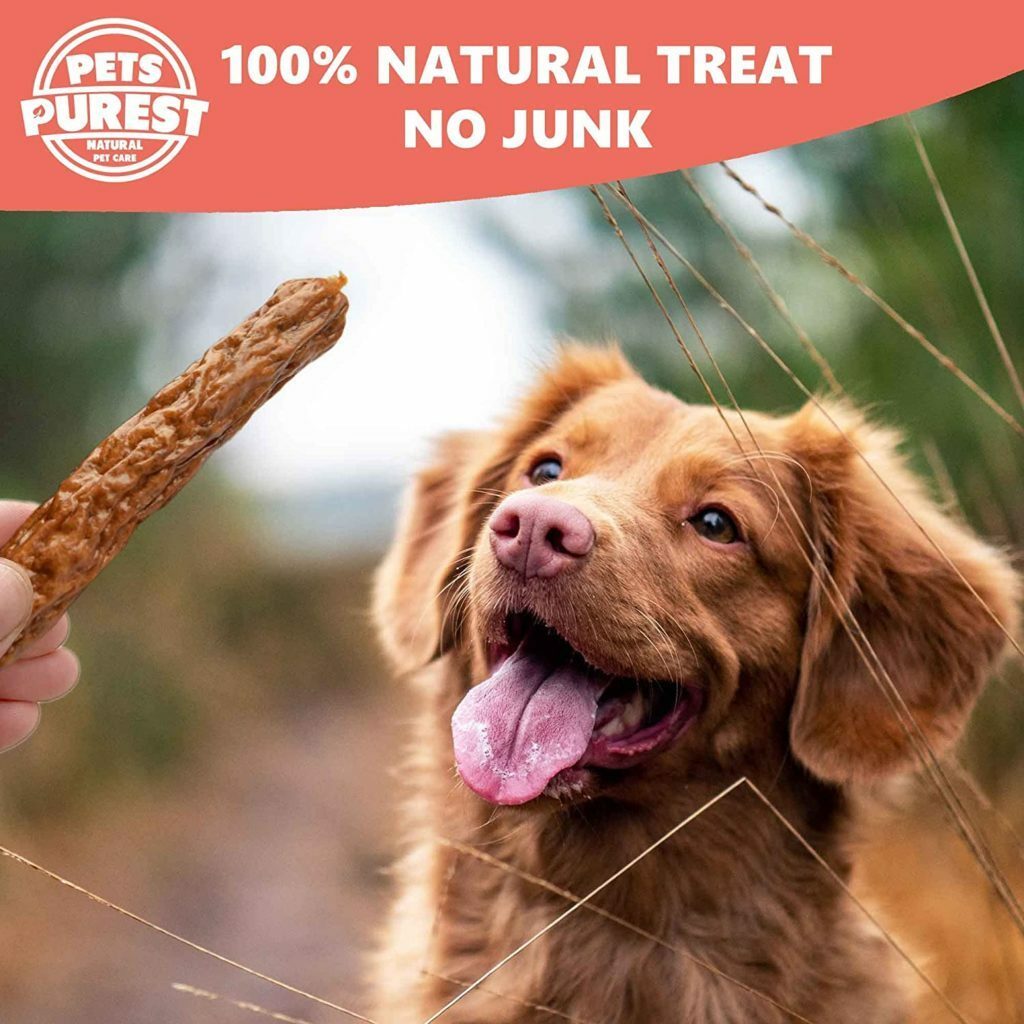Best Dog Treats Of The Year 2023 18 Best Dog Treats Of The Year 2023