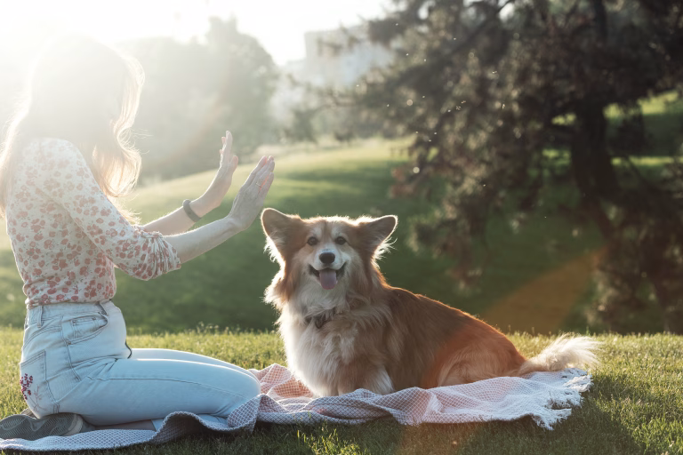 What Dogs Symbolize Spiritually: Loyalty, Protection, and Beyond 17 What Dogs Symbolize Spiritually: Loyalty, Protection, and Beyond